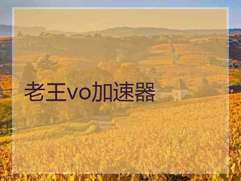 老王vo加速器