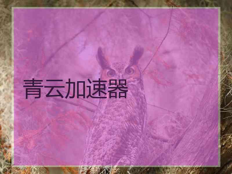 青云加速器