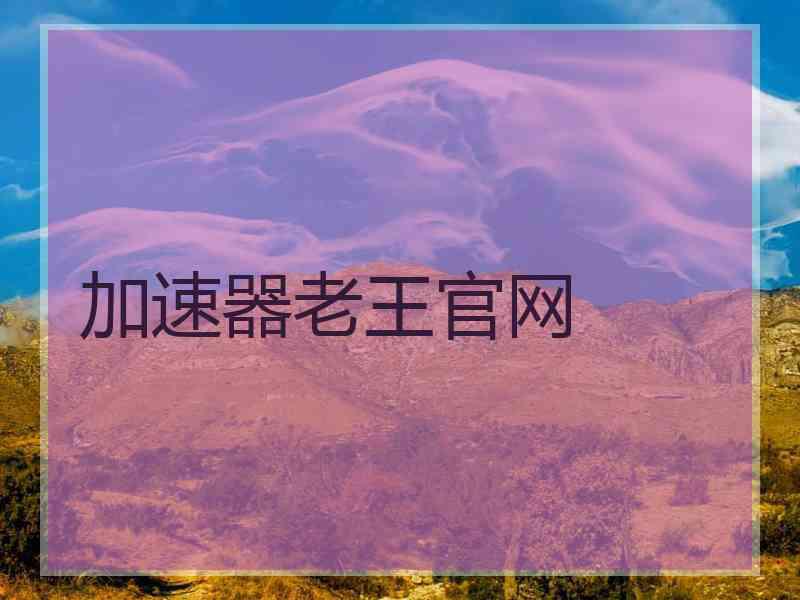 加速器老王官网