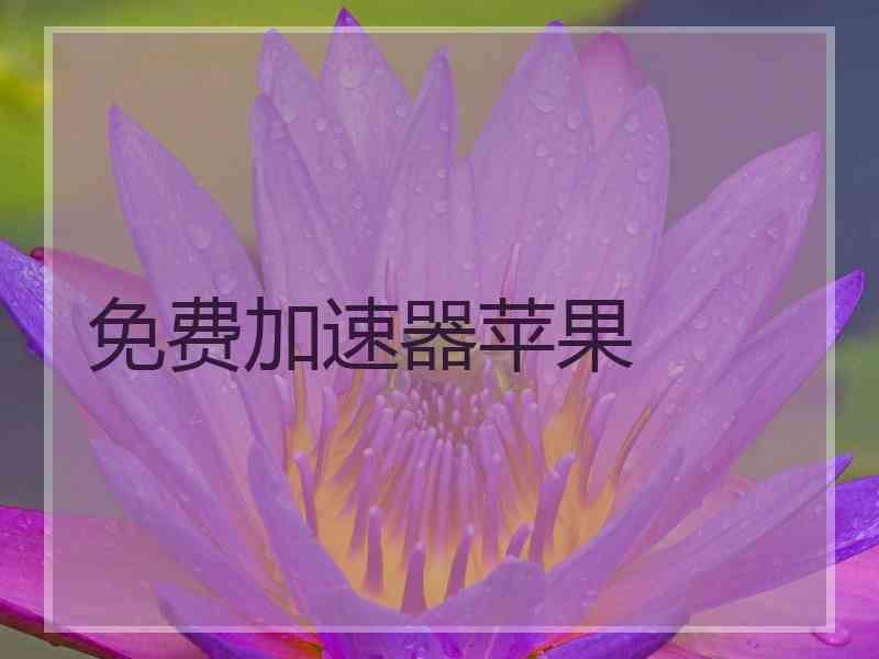 免费加速器苹果