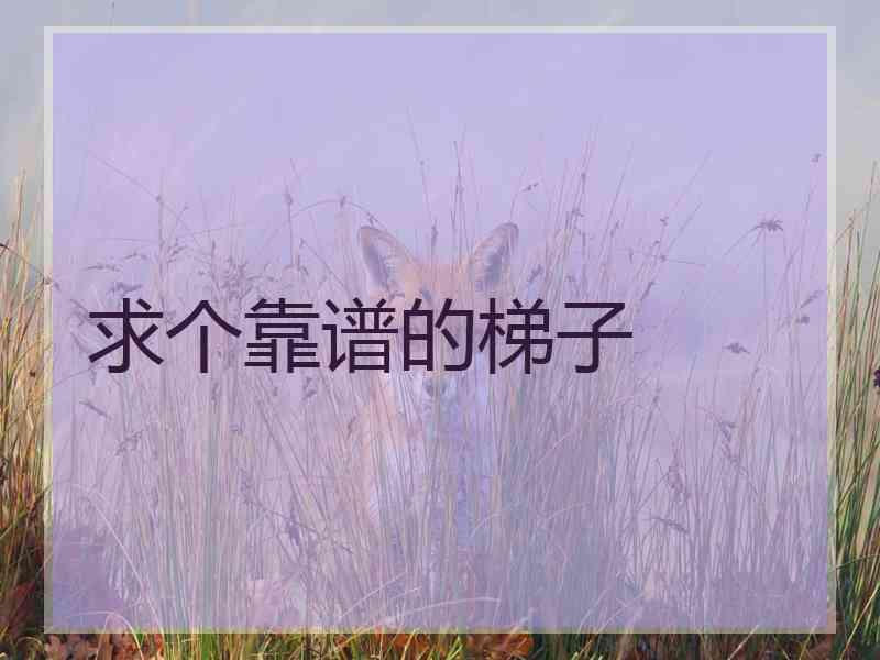 求个靠谱的梯子