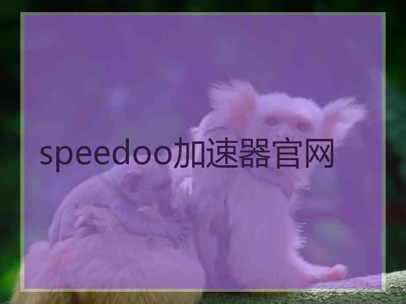 speedoo加速器官网