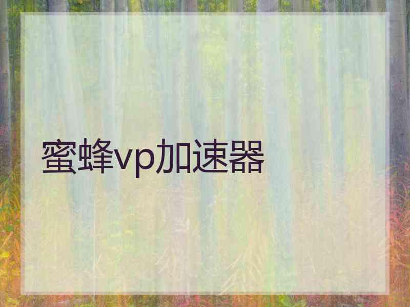 蜜蜂vp加速器