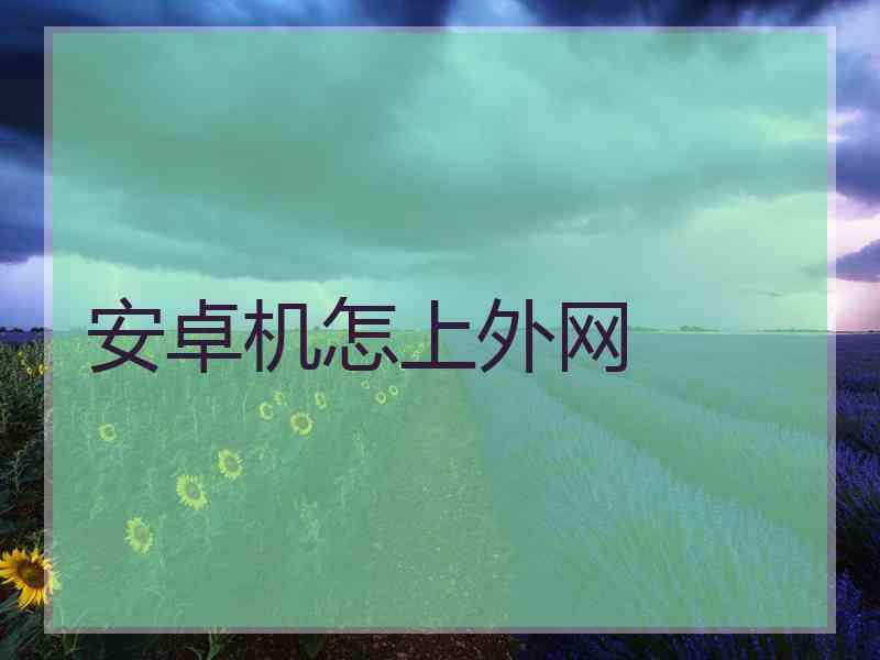 安卓机怎上外网