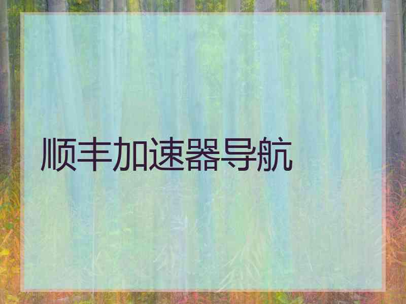 顺丰加速器导航