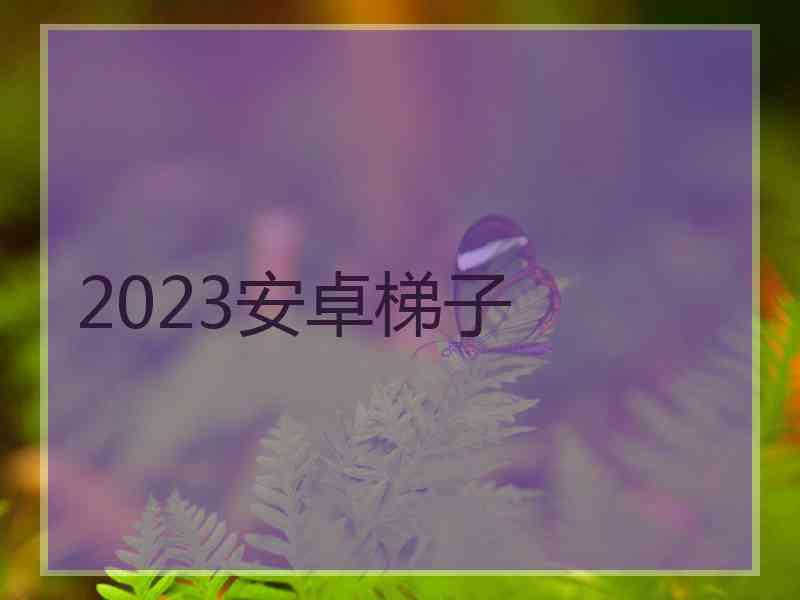 2023安卓梯子