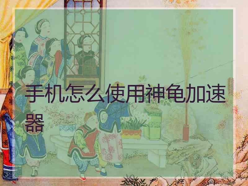 手机怎么使用神龟加速器
