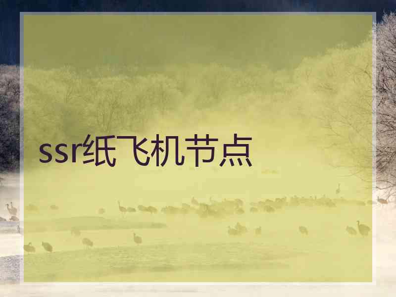 ssr纸飞机节点