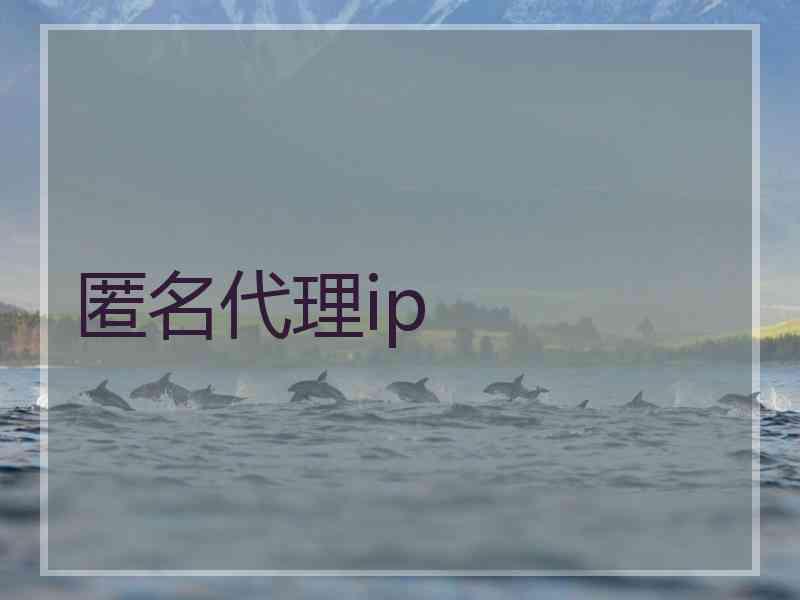 匿名代理ip