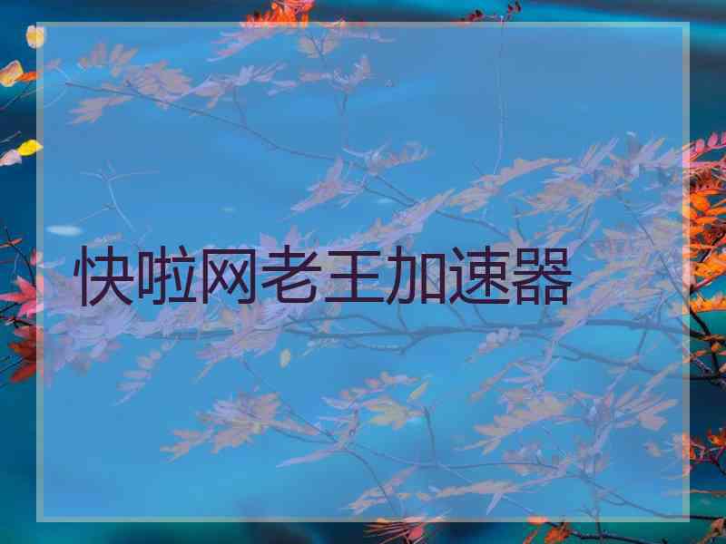 快啦网老王加速器
