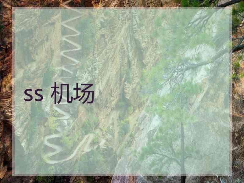 ss 机场