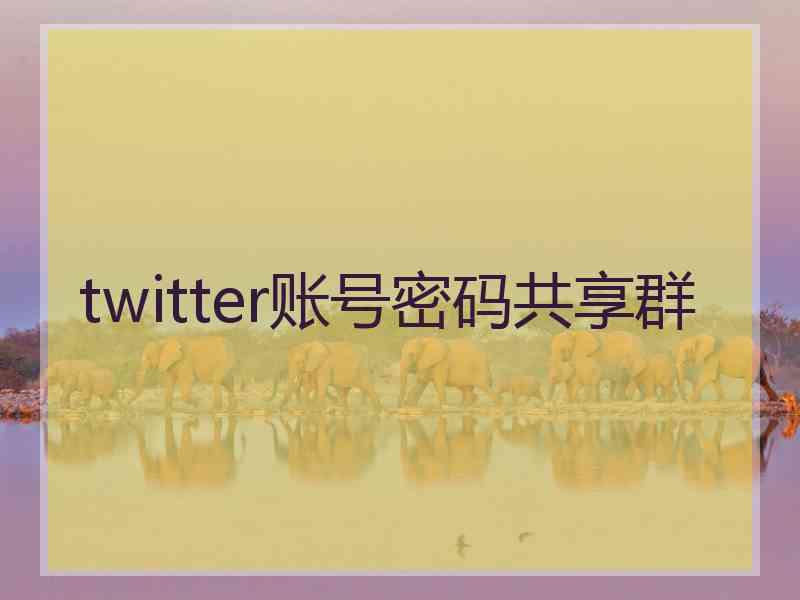 twitter账号密码共享群