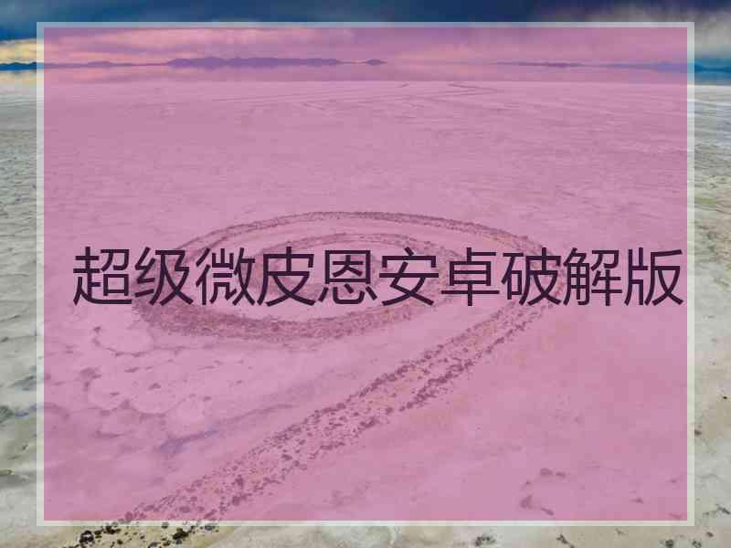 超级微皮恩安卓破解版