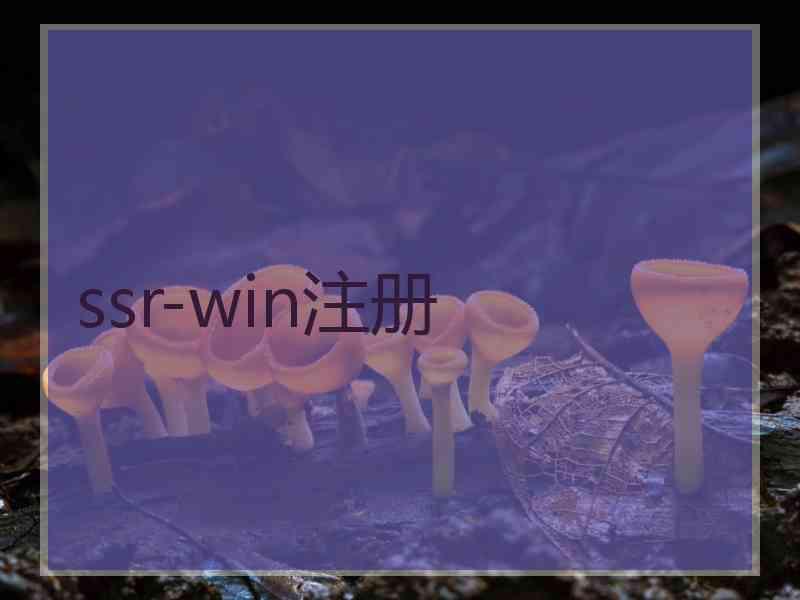ssr-win注册