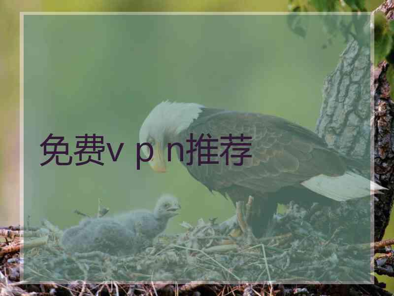 免费v p n推荐