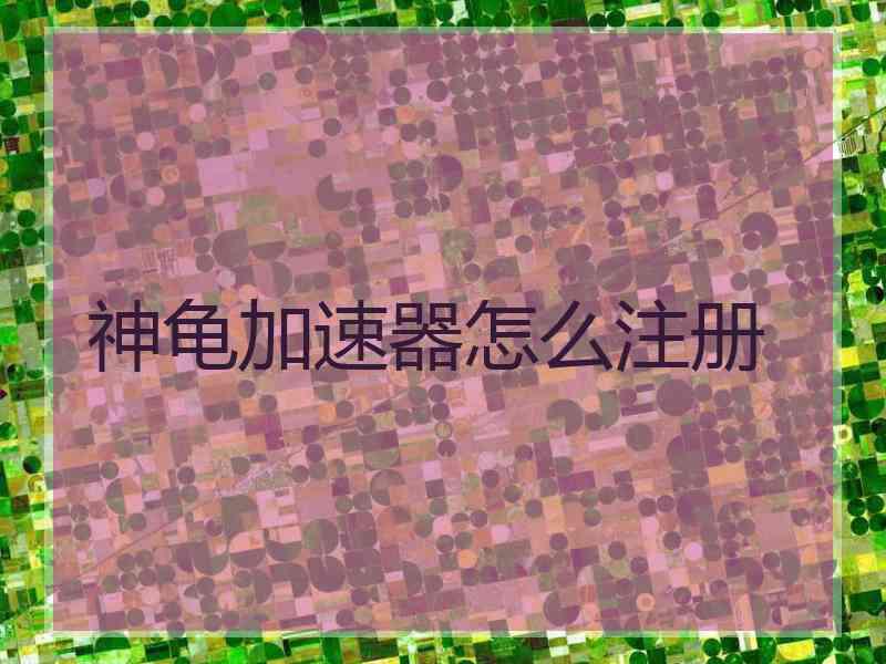 神龟加速器怎么注册