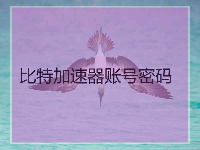 比特加速器账号密码