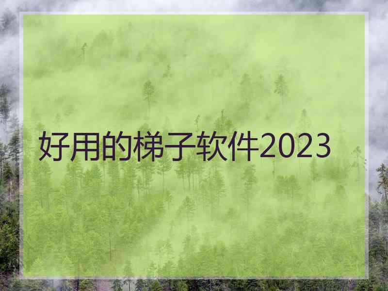 好用的梯子软件2023