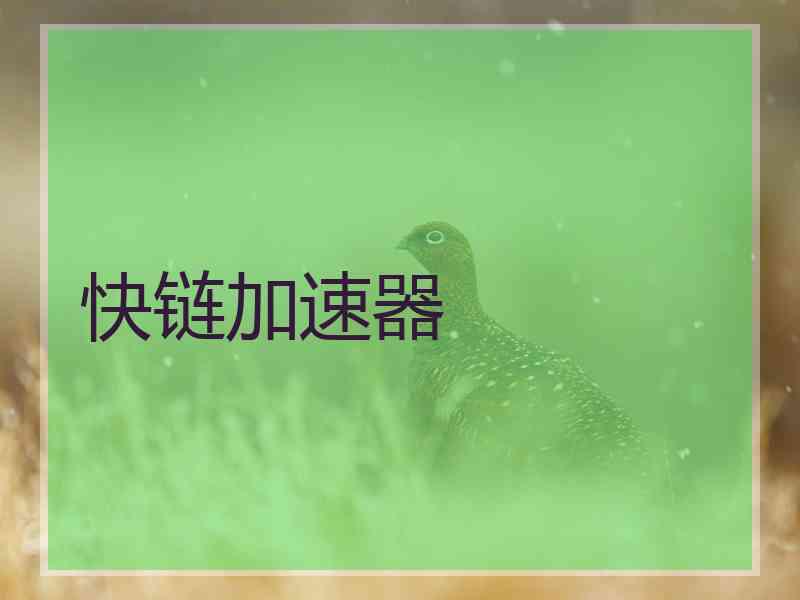 快链加速器