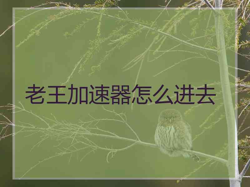 老王加速器怎么进去