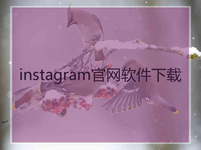 instagram官网软件下载