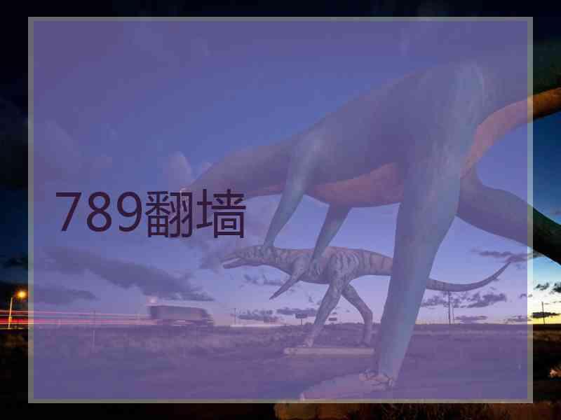 789翻墙