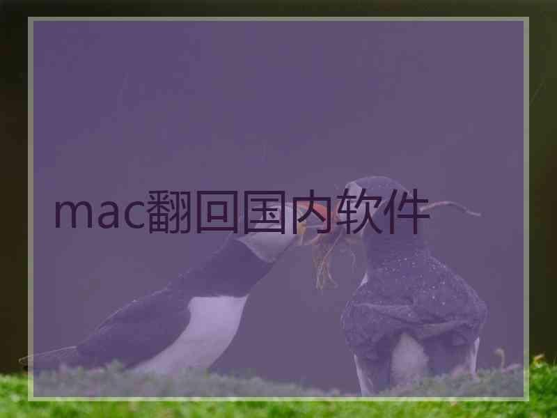 mac翻回国内软件