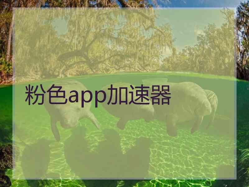粉色app加速器