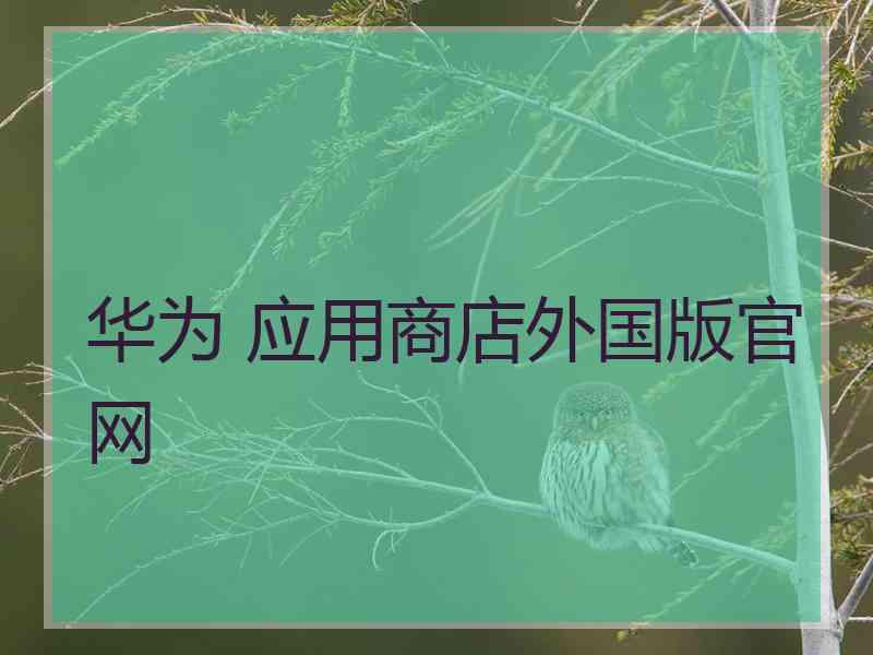 华为 应用商店外国版官网