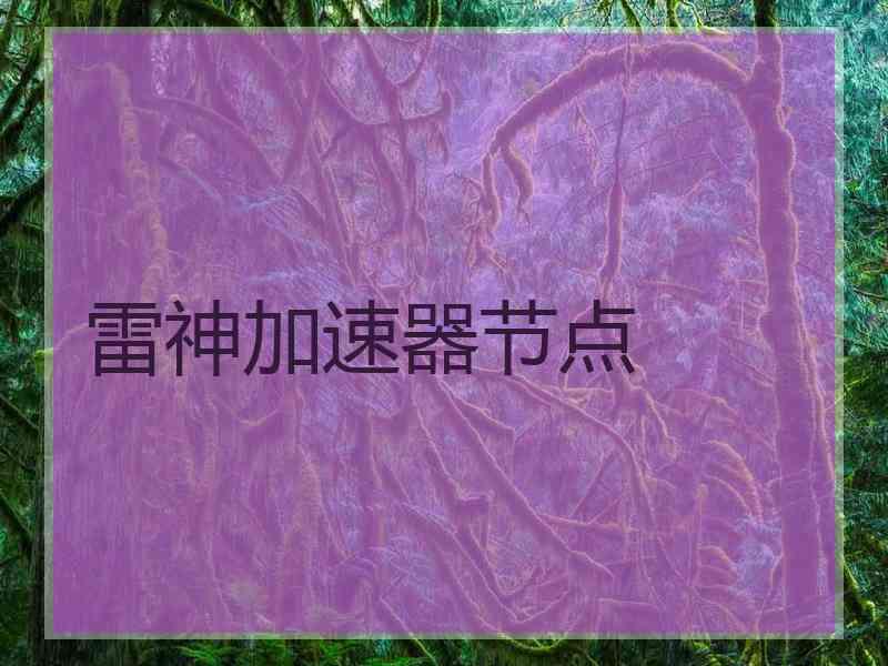 雷神加速器节点