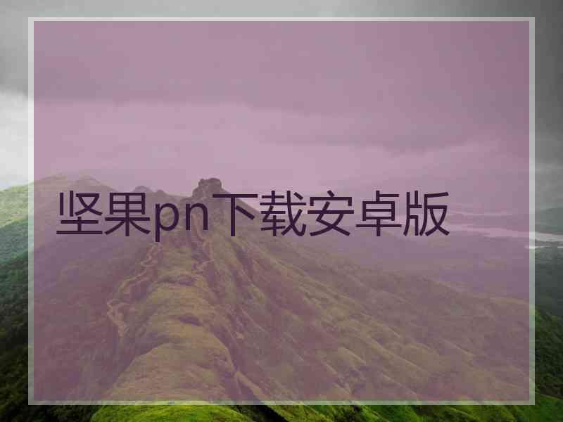 坚果pn下载安卓版