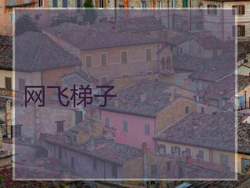网飞梯子