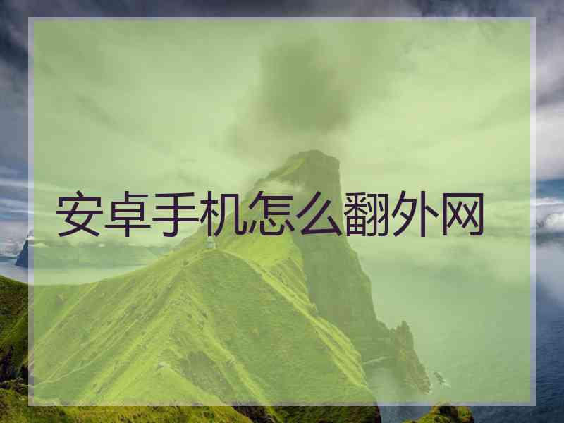 安卓手机怎么翻外网