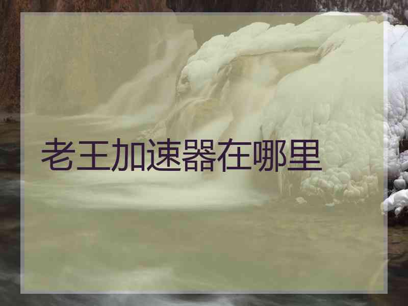 老王加速器在哪里
