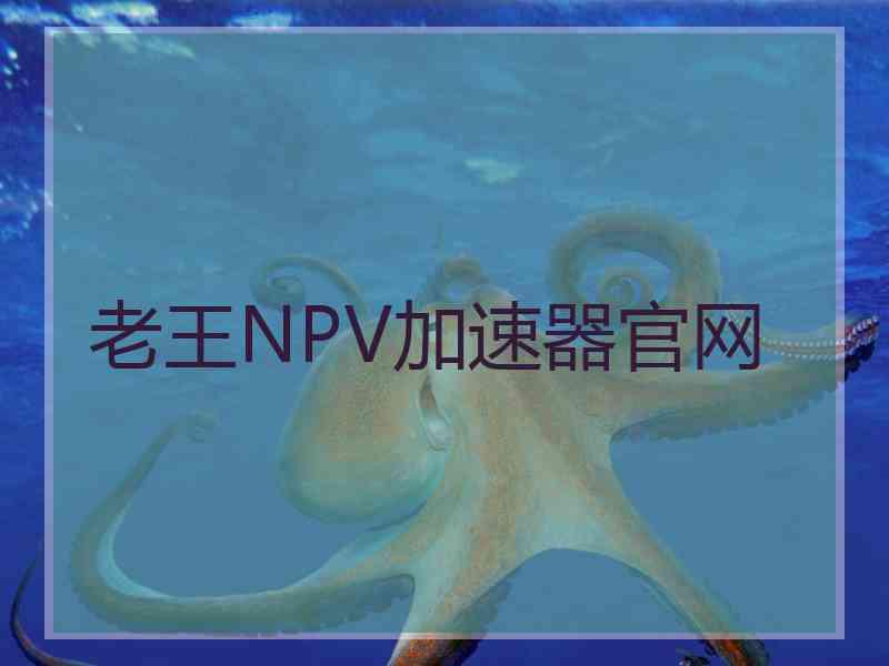 老王NPV加速器官网