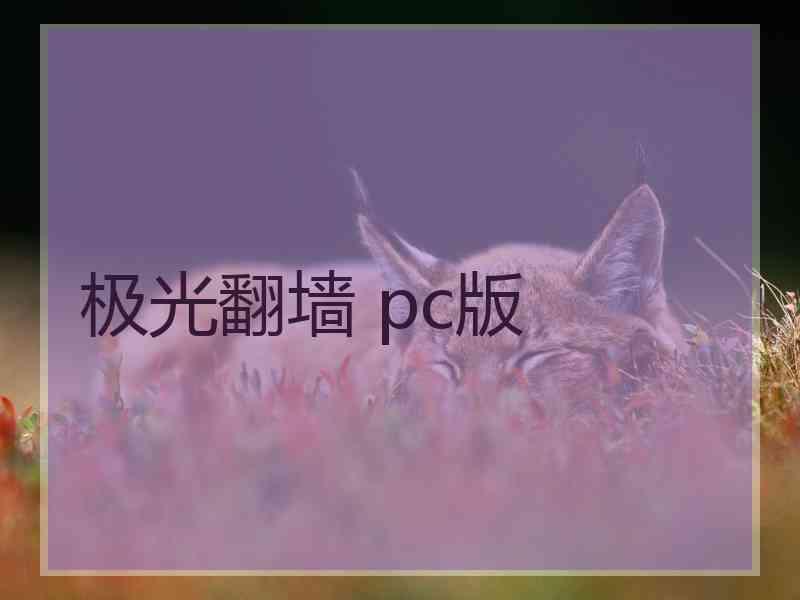 极光翻墙 pc版