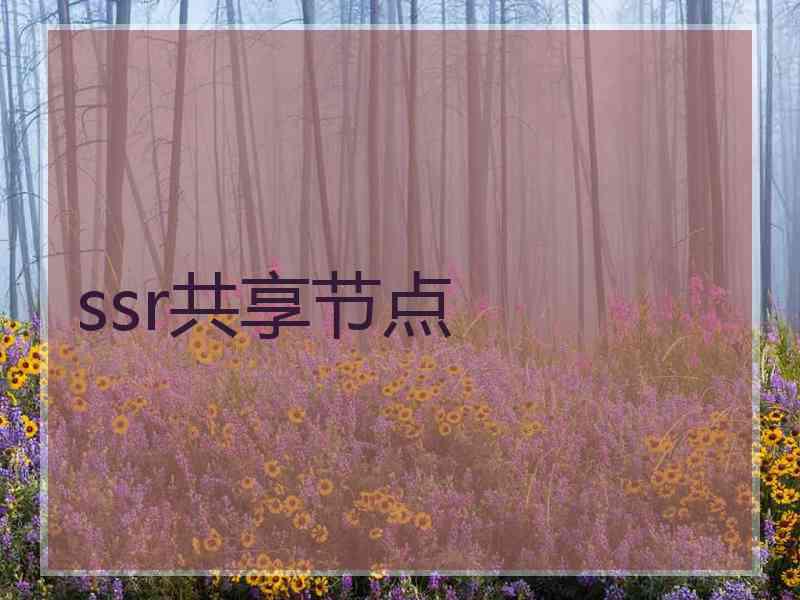 ssr共享节点