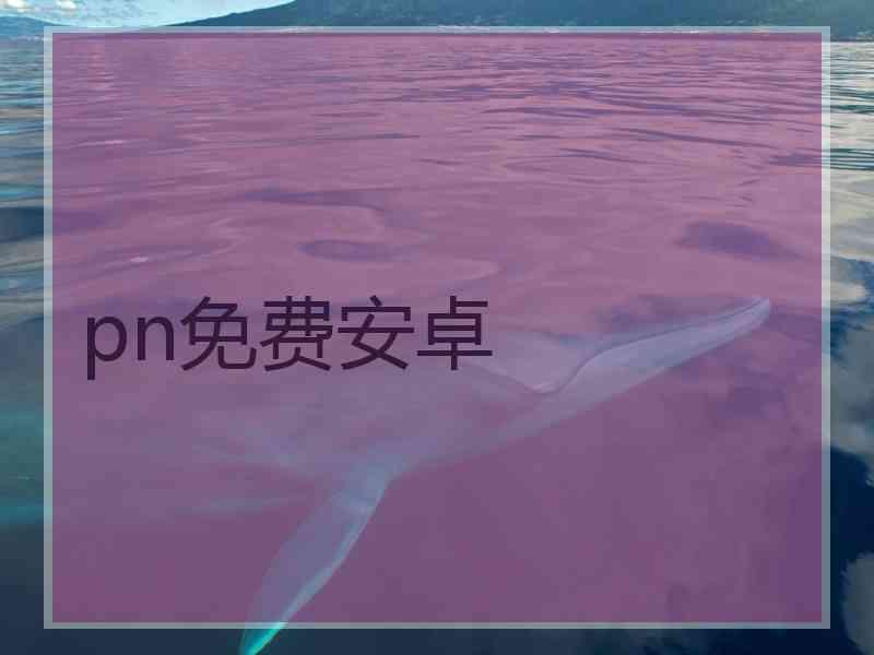 pn免费安卓