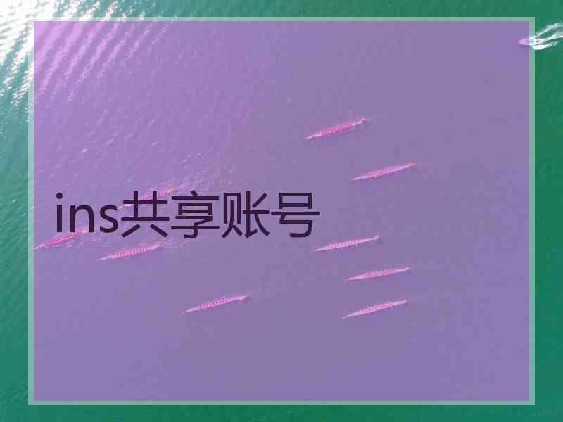 ins共享账号