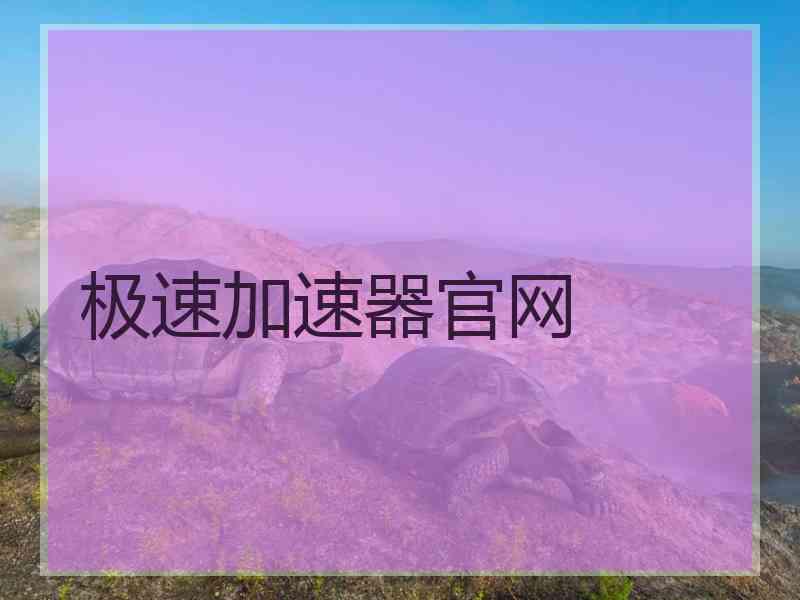 极速加速器官网