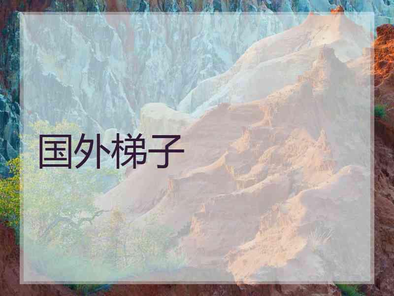 国外梯子