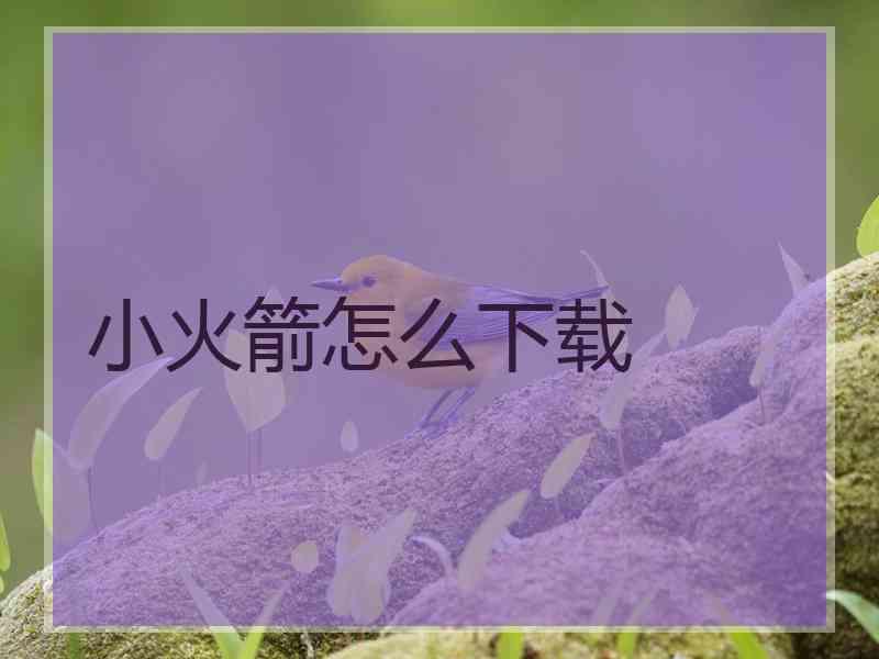 小火箭怎么下载