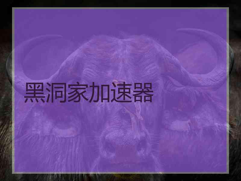 黑洞家加速器