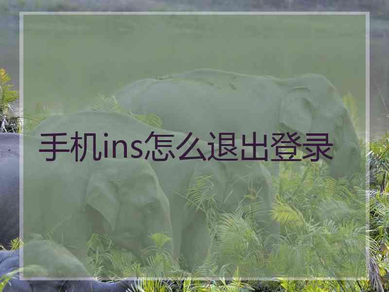 手机ins怎么退出登录