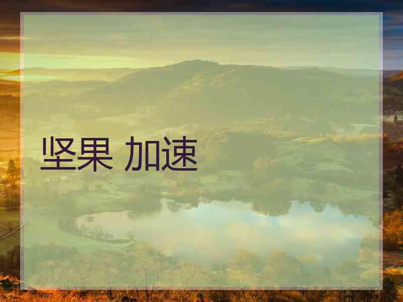 坚果 加速