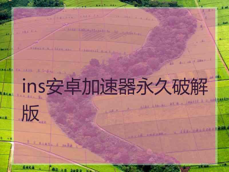 ins安卓加速器永久破解版
