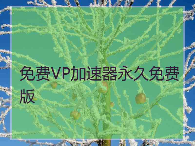免费VP加速器永久免费版