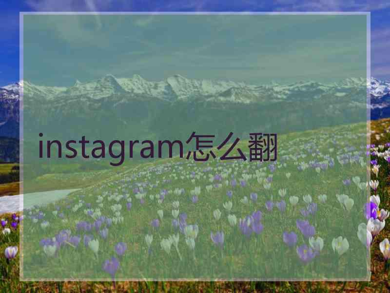 instagram怎么翻
