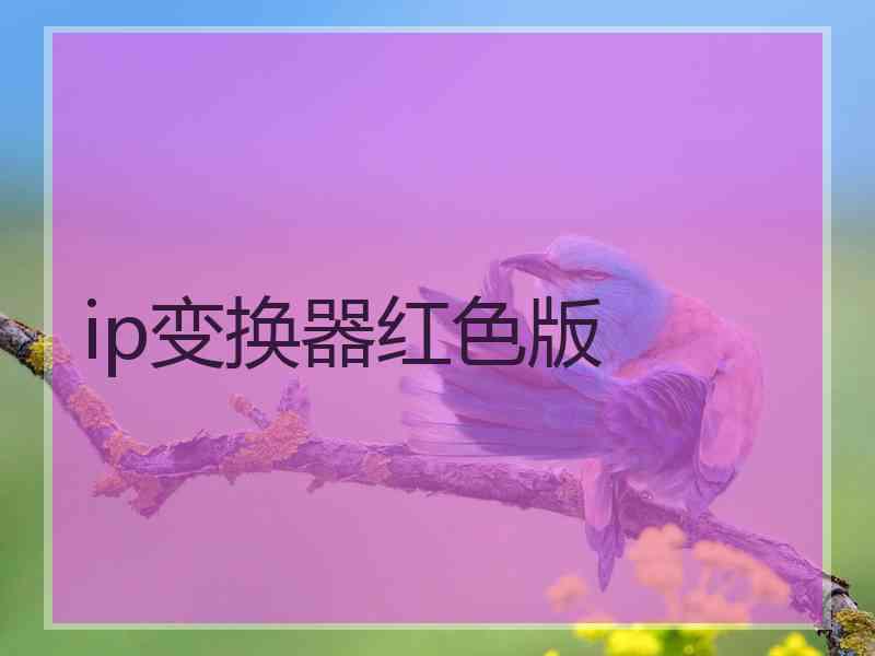 ip变换器红色版