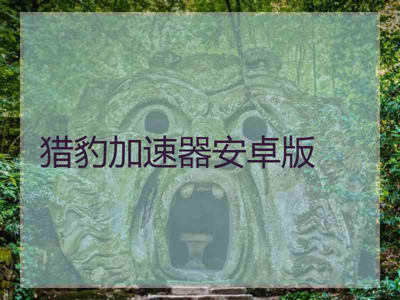 猎豹加速器安卓版